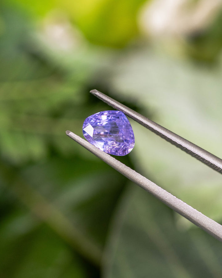 1.29 carat violet lavender sapphire held in tweezers with a natural foliage backdrop, showing clarity and precision facets of the trilliant modified brilliant cut, untreated gemstone from Umba River, Tanzania.