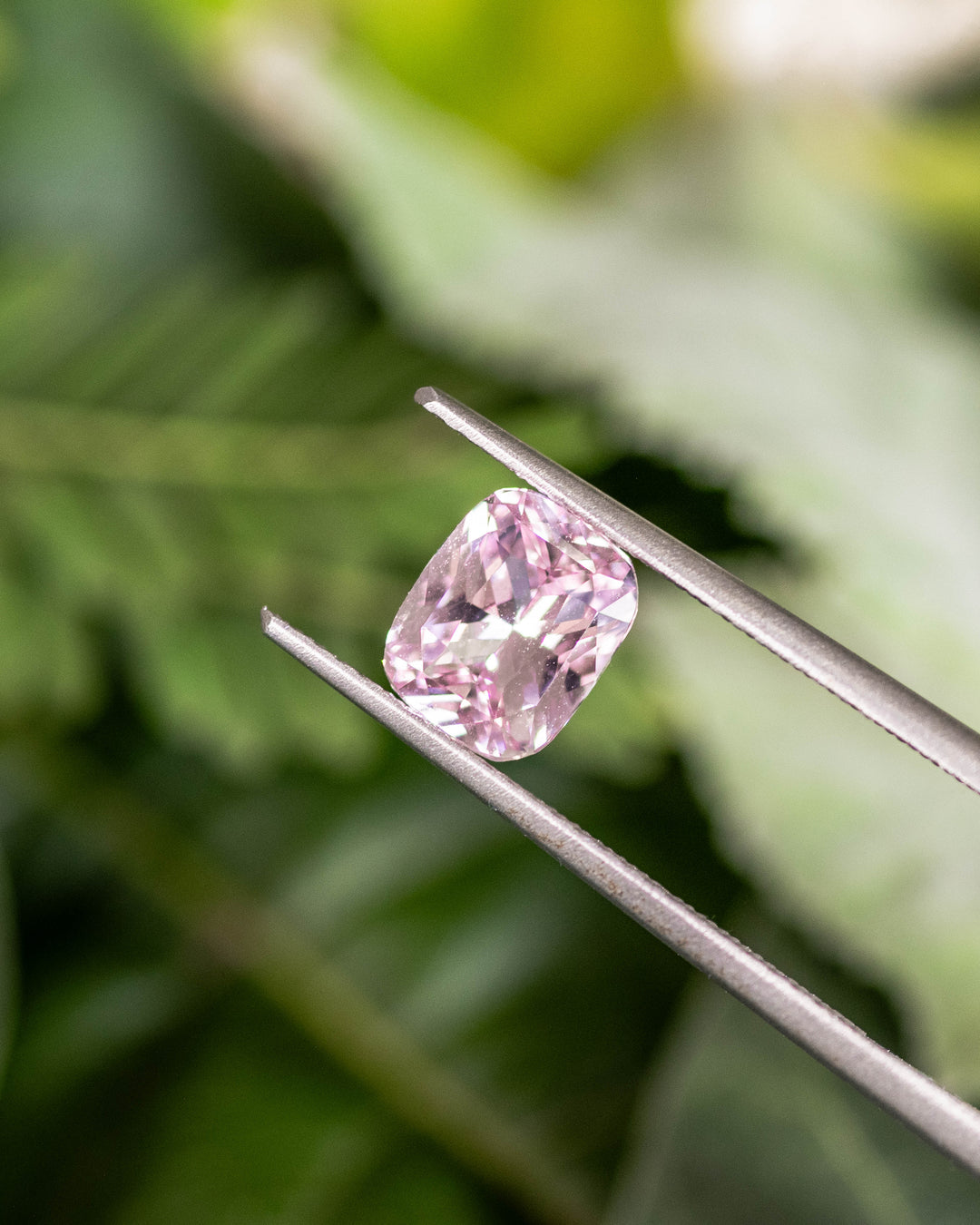 Macro photo of 1.57CT pink peach sapphire held in gemstone tweezers, highlighting the brilliance, symmetry, and natural color zoning of the cushion cut, unheated sapphire from Madagascar.