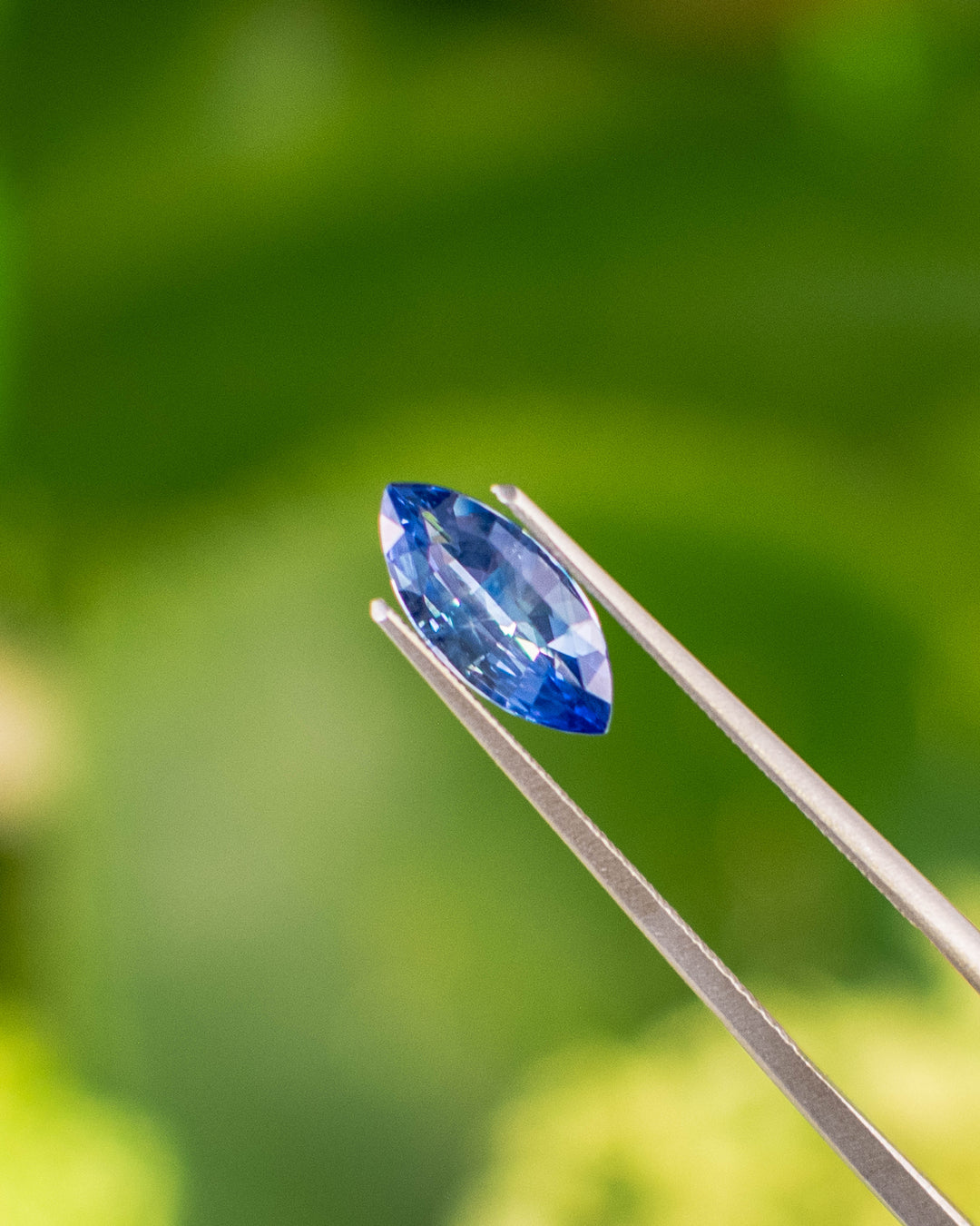 Macro image of 1.57 carat vivid blue sapphire held in gemstone tweezers against a green background, capturing light reflections and symmetry of the precision marquise mixed cut, untreated sapphire from Sakaraha, Madagascar