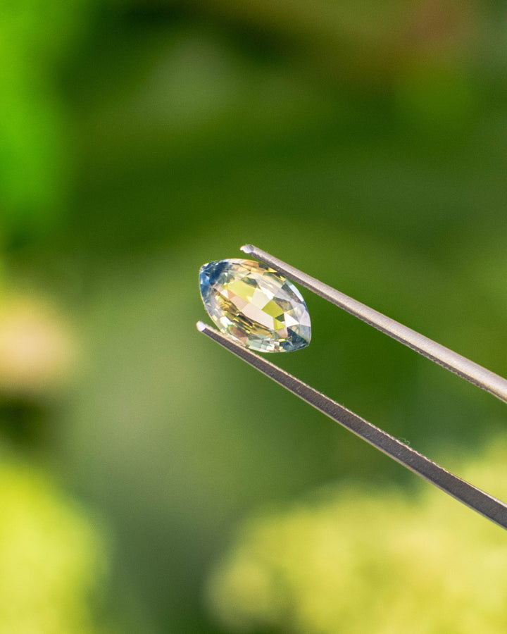 1.58 carat parti sapphire held in gemstone tweezers, showing the vibrant blend of yellow and blue hues across a precision marquise mixed cut, natural and untreated from Sakaraha, Madagascar.
