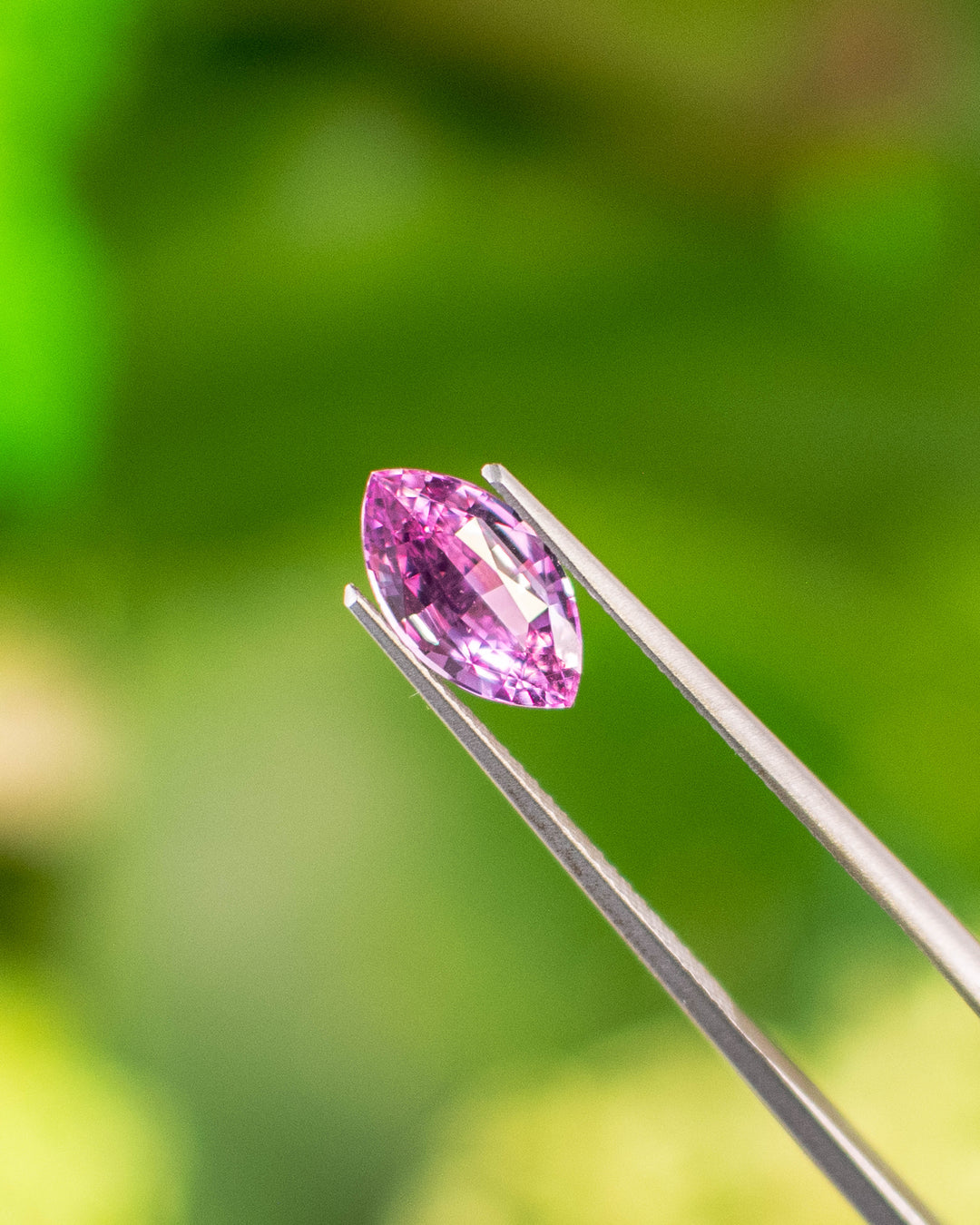 Close-up of 1.65CT vivid Barbie pink sapphire held in gemstone tweezers against a lush green background, highlighting the sparkle, clarity, and facet symmetry of the precision marquise mixed cut, unheated sapphire from Madagascar.