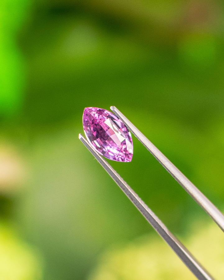 Close-up of 1.65CT vivid Barbie pink sapphire held in gemstone tweezers against a lush green background, highlighting the sparkle, clarity, and facet symmetry of the precision marquise mixed cut, unheated sapphire from Madagascar.