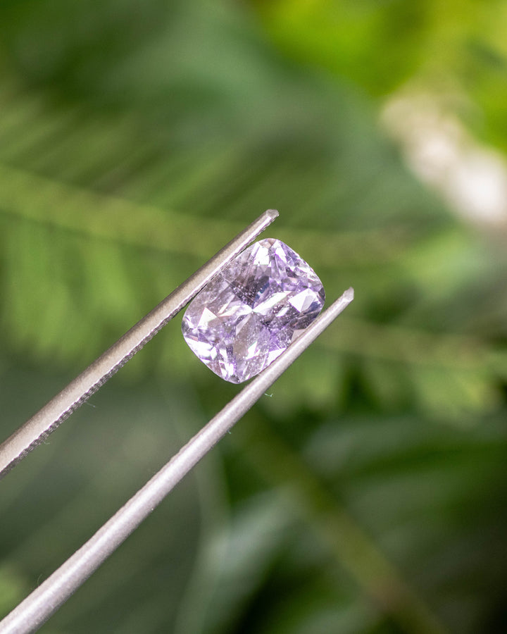 Close-up of 1.65CT violet-purple-pink sapphire held in gemstone tweezers against a lush green background, showing the detailed brilliance of the cushion cut, natural unheated gem from Madagascar.