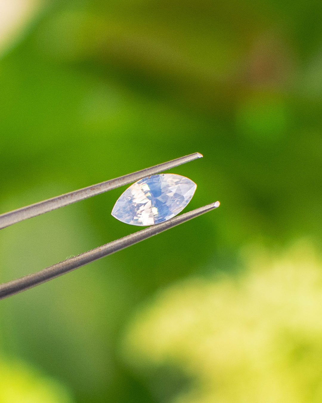 Macro image of 1.70CT sapphire held in gemstone tweezers under natural sunlight, highlighting its opalescent powder blue hue and sparkle in a precision marquise mixed cut, unheated sapphire from Ratnapura, Sri Lanka.