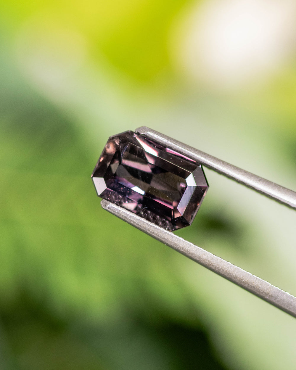 Macro image of 1.70CT sapphire held in gemstone tweezers against a natural green background, showing violet and brown undertones and precise facet lines of the modified emerald cut, unheated gem from Umba River Valley, Tanzania.