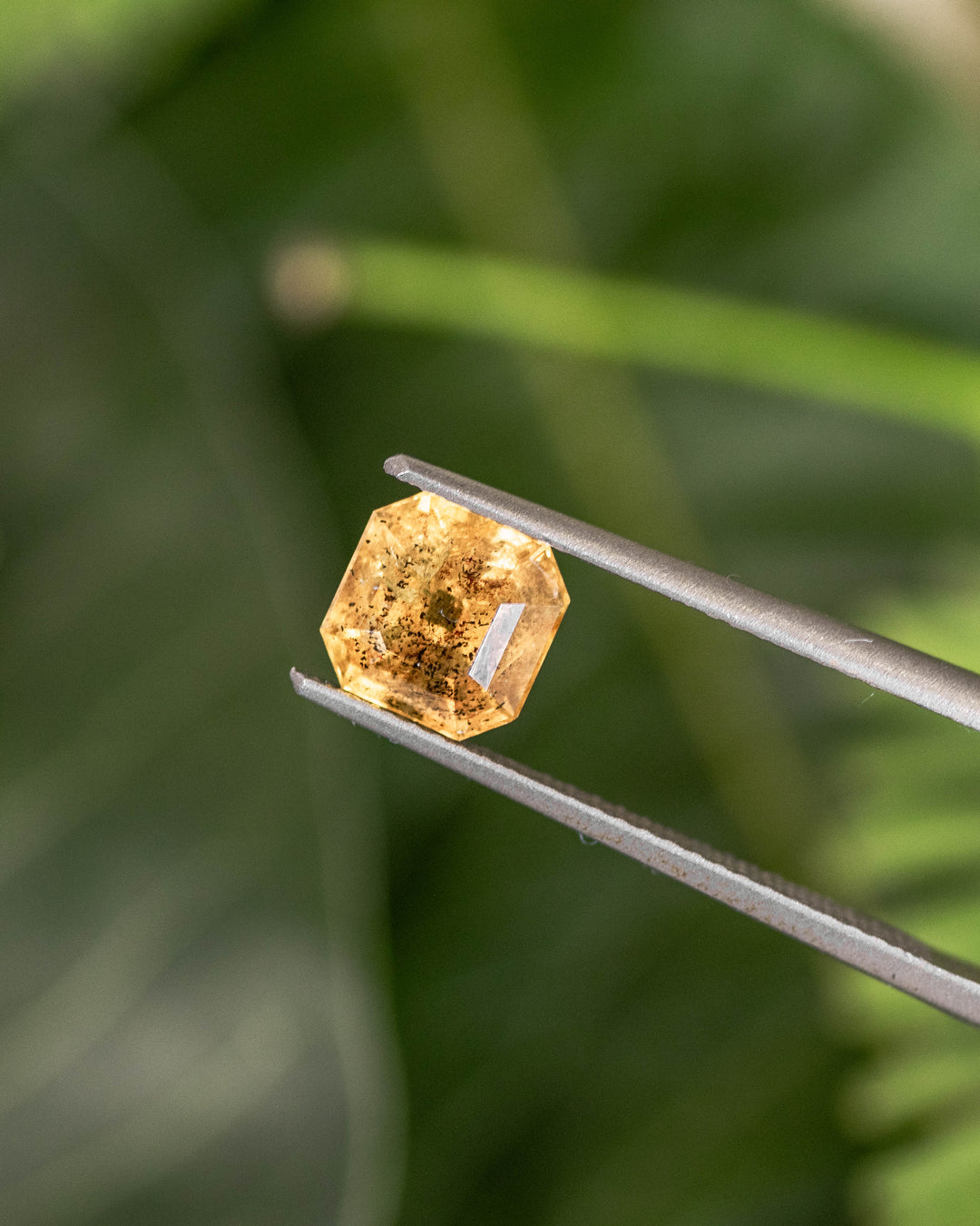 1.71CT pepper yellow orange sapphire held in gemstone tweezers with a green nature background, highlighting its Asscher cut facets and sparkle, unheated sapphire from Umba River Valley, Tanzania.