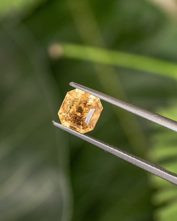 1.71CT pepper yellow orange sapphire held in gemstone tweezers with a green nature background, highlighting its Asscher cut facets and sparkle, unheated sapphire from Umba River Valley, Tanzania.