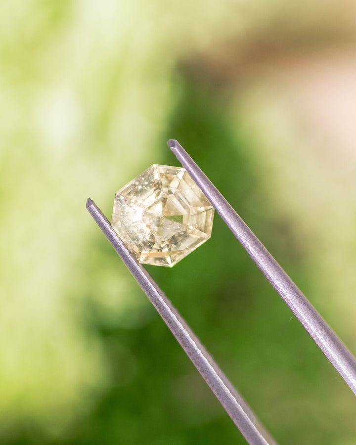 1.88CT teal yellow sapphire held delicately in gemstone tweezers with green natural background, capturing step-cut symmetry and sparkle of this unheated Asscher cut sapphire from Umba River Valley, Tanzania.