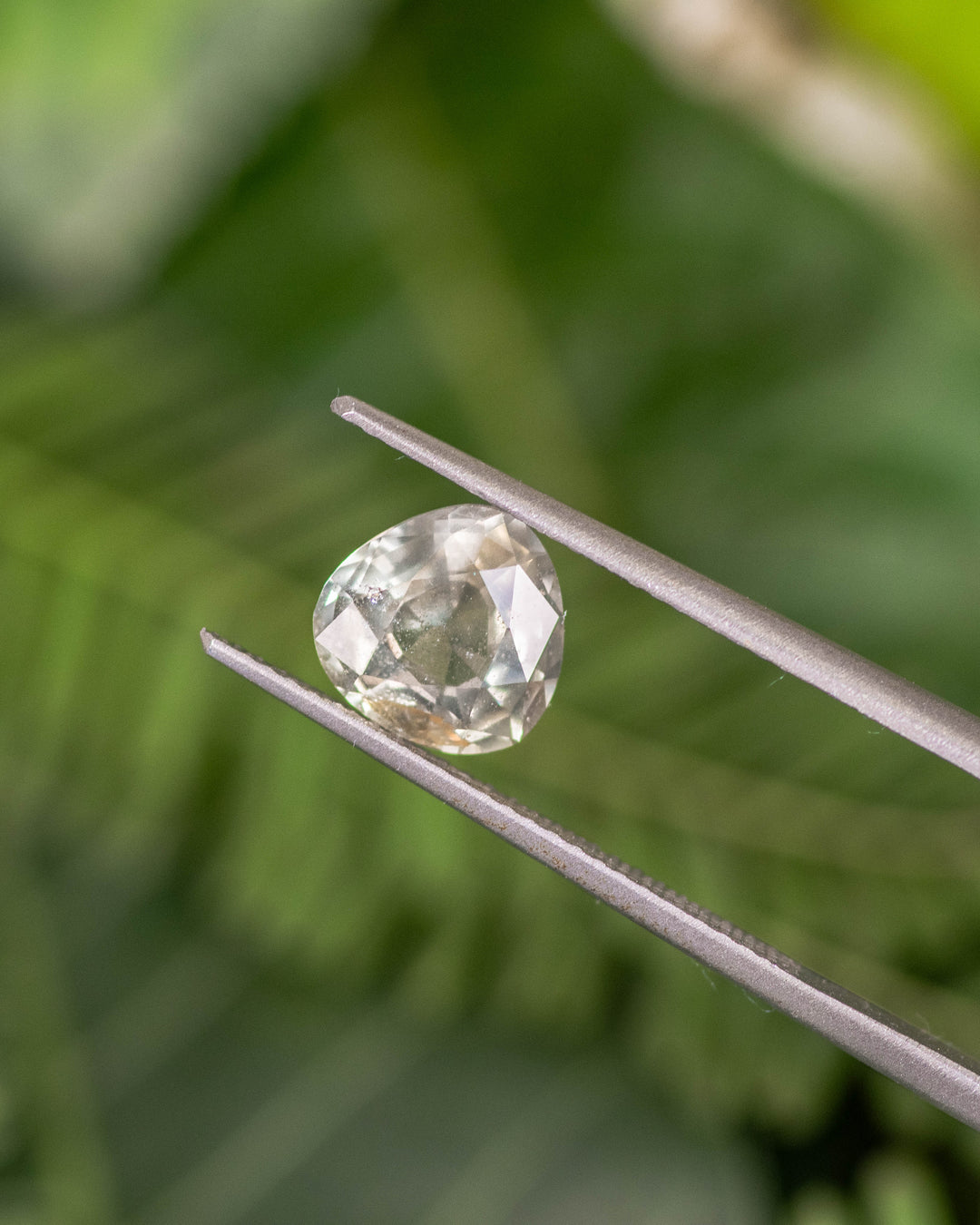 Macro photo of 1.94CT sapphire held in tweezers against a natural green foliage background, showing teal, green, and yellow hues through precision-cut facets of the portrait pear shape, unheated gemstone from Umba River, Tanzania.