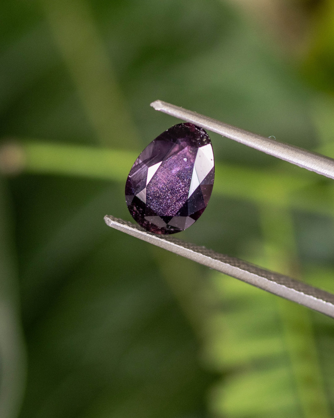 Macro shot of 1.98CT plum purple sapphire held in tweezers against a blurred natural green background, highlighting its brilliance and faceted modified tear drop shape, unheated sapphire from Umba River, Tanzania.