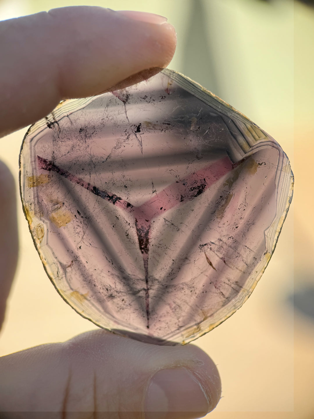 Close-up of 123.90 carat liddicoatite tourmaline crystal slice held in sunlight, revealing natural triangular zoning in pink, purple, and gray hues, untreated and ethically sourced from Madagascar.