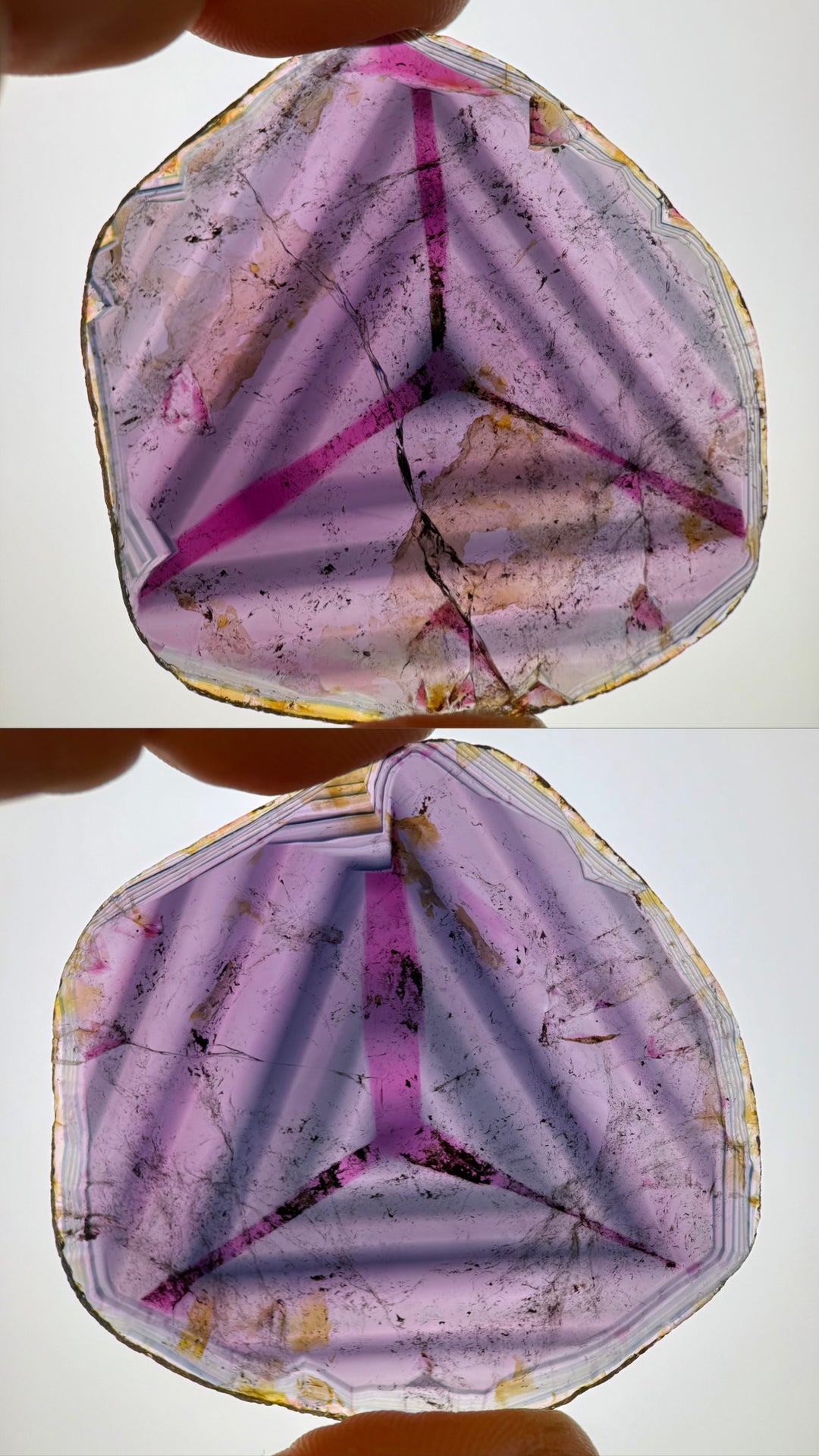 Pair of 123.90 carat liddicoatite tourmaline crystals held in backlight, showcasing vivid internal triangular zoning and multicolor layers of pink, blue, and purple, sourced from Madagascar.