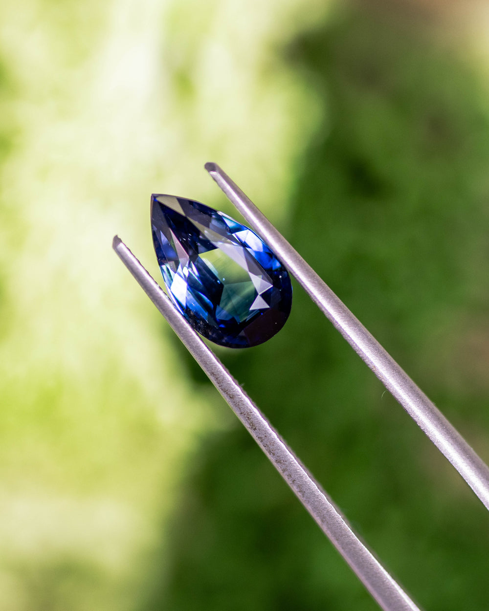Close-up of 2.02CT bi-color blue sapphire held in gemstone tweezers against a natural green background, capturing its reflective brilliance and flawless pear brilliant cut, unheated sapphire from Madagascar.