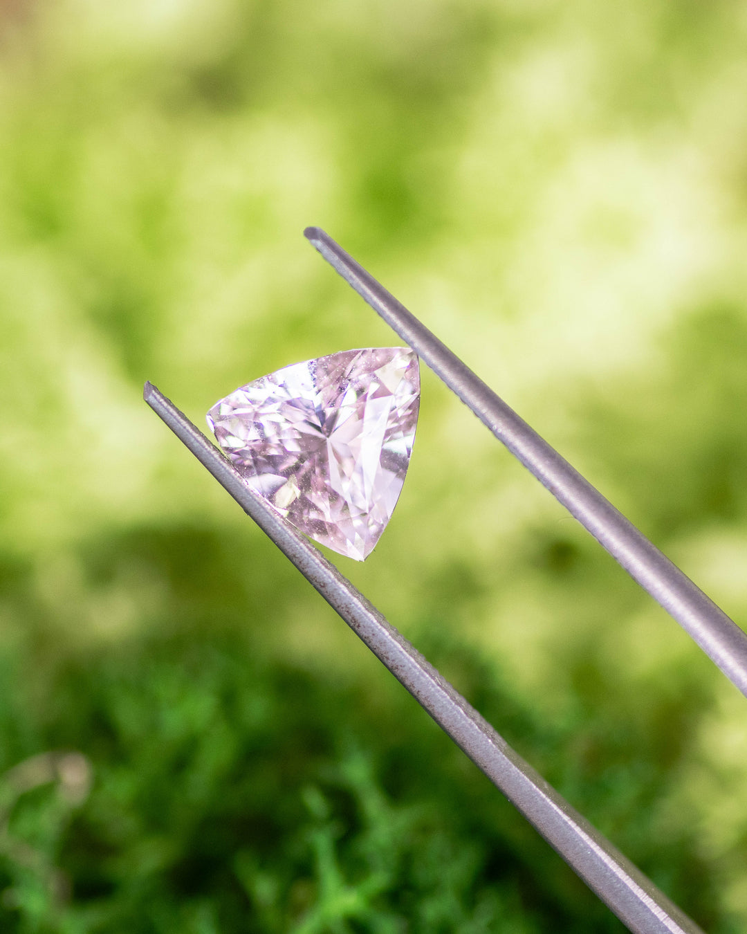 Close-up of 2.06CT pink peach sapphire held in gemstone tweezers against a natural green background, showcasing clarity, light reflection, and geometric symmetry of the trillion cut, unheated sapphire from Madagascar.