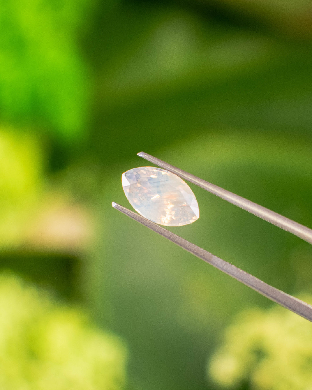 2.18 carat opalescent peach and gray sapphire held in gemstone tweezers under natural sunlight, highlighting brilliance and soft color blending in a precision marquise mixed cut, untreated sapphire from Ratnapura, Sri Lanka.