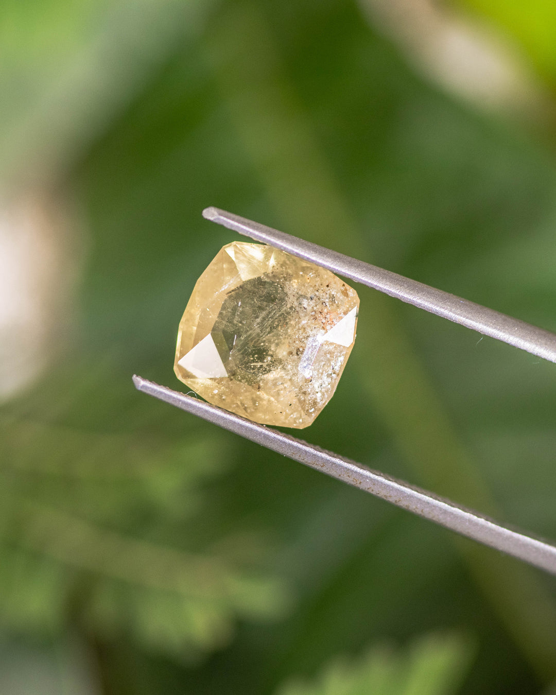 3.10CT green yellow sapphire held delicately in gemstone tweezers against a natural green background, showing light reflections and internal inclusions of its custom cushion cut, unheated sapphire from Umba River, Tanzania.
