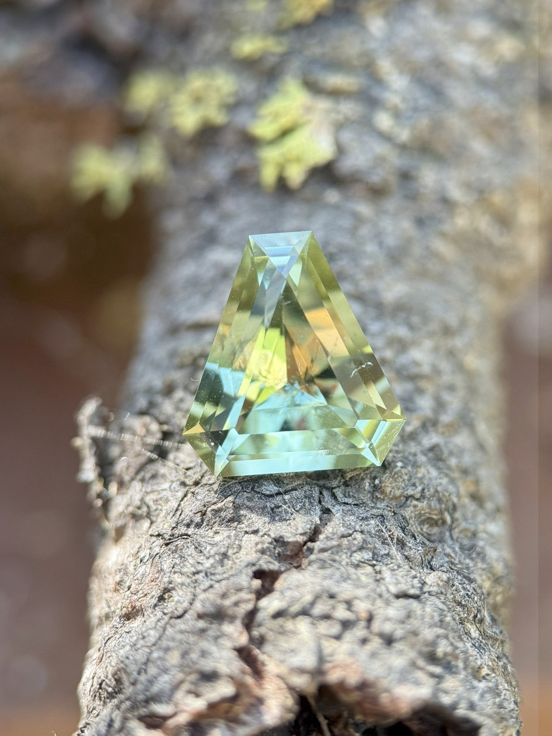Mint green tourmaline weighing 3.26 carats resting on textured tree bark, showing custom shield step cut brilliance and clear pastel tones, ethically sourced untreated gemstone from Congo, Africa.