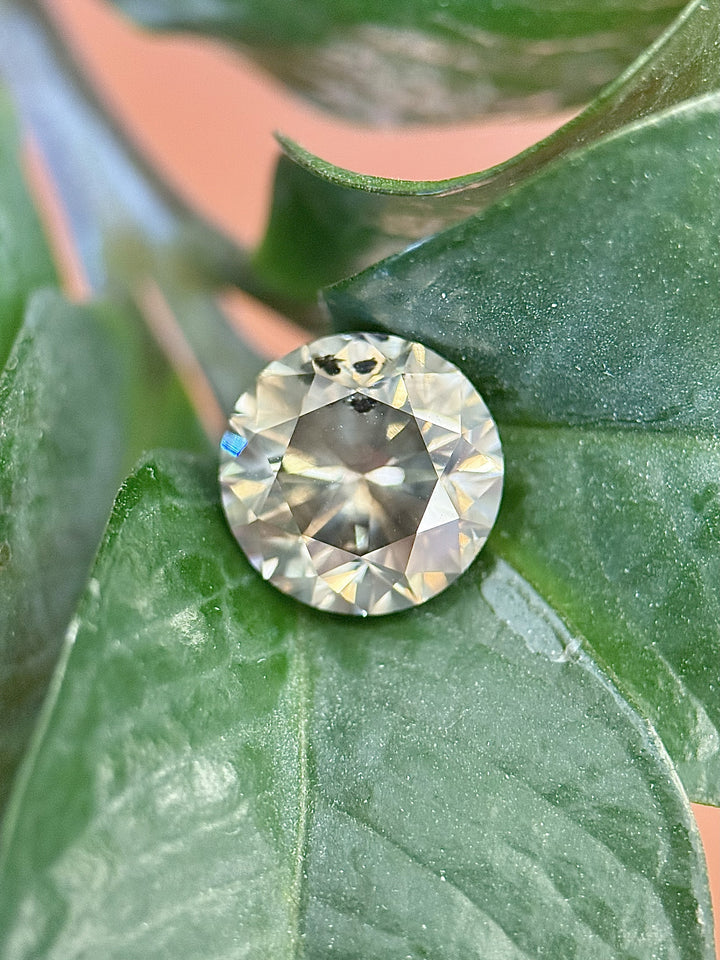 3.99 carat Fancy Dark Gray diamond placed on green leaves, natural light photo showing subtle gray tone and round brilliant faceting, GIA certified and untreated from South Africa.