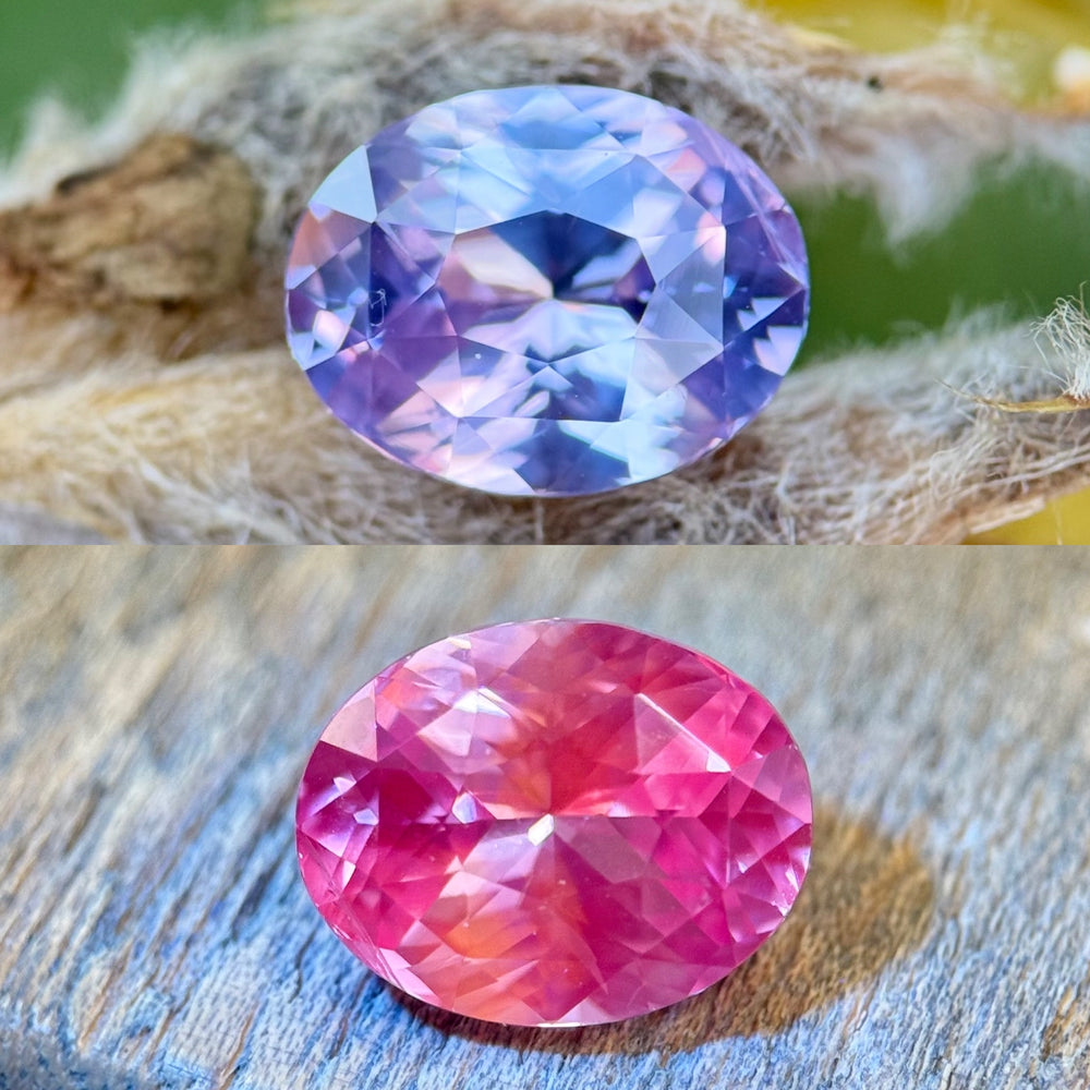 4.04CT sapphire exhibiting violet and pink color play under natural light, oval brilliant cut from Madagascar, positioned on dried plant texture to highlight clarity and cut precision.