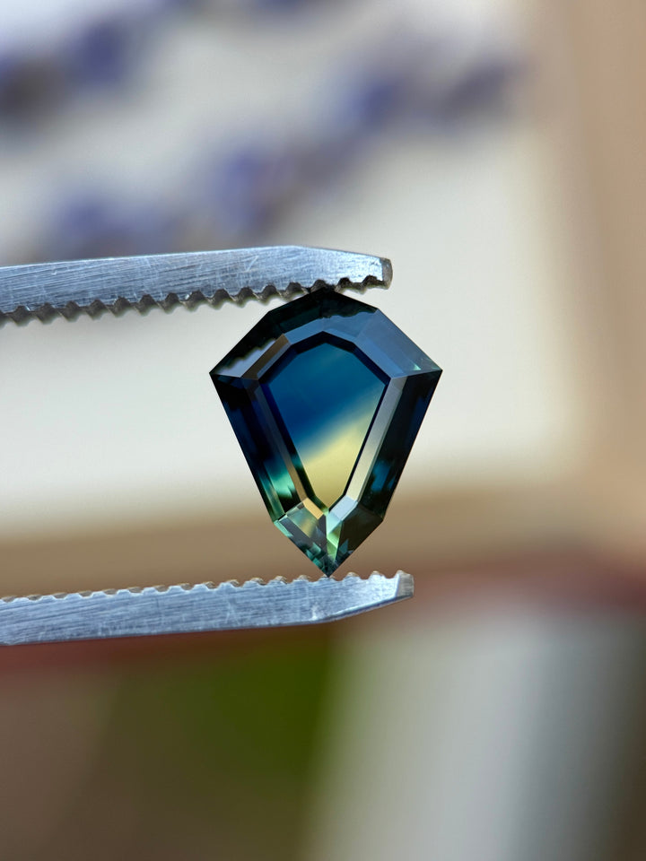 Natural Australian parti sapphire held in tweezers, highlighting yellow, teal, and blue color separation within the shield portrait cut.