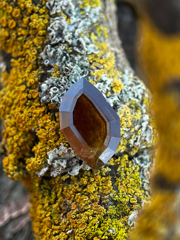 A natural earthy brown cognac sapphire weighing 3.78 carats, shaped in a custom leaf portrait cut, displayed against a lichen-covered branch for an organic, earthy aesthetic. Origin: Umba River, Tanzania, untreated gemstone.