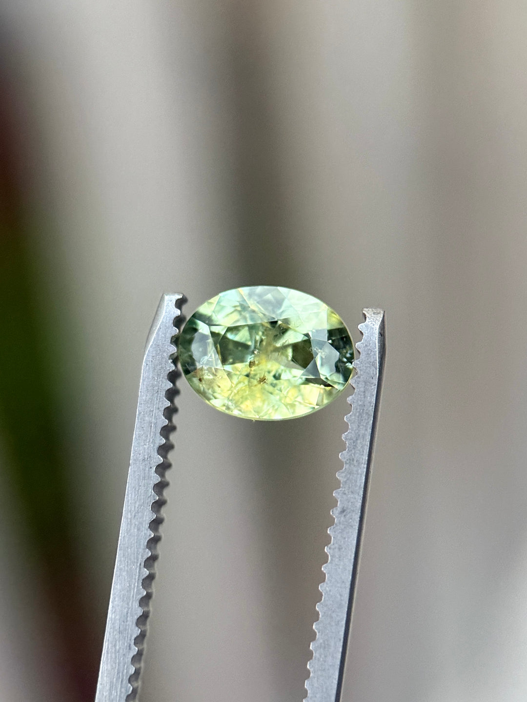 Unheated Montana sapphire held in gem tweezers, displaying earthy teal, green, and yellow tones with brilliant oval faceting as light passes through the stone to reveal depth and natural inclusions.