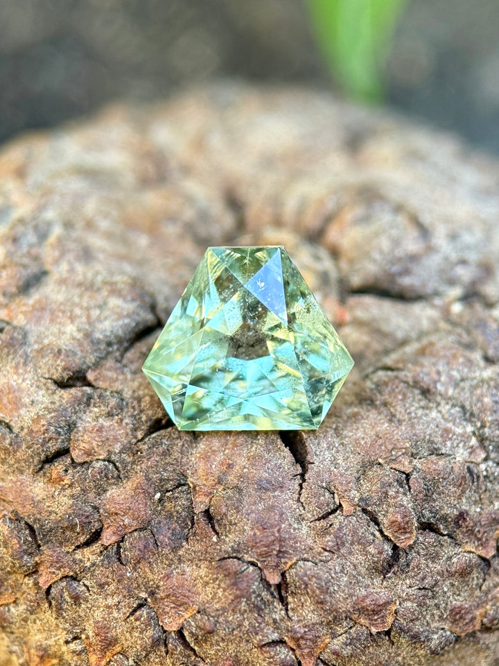 Custom antique cut corner trillion sapphire displayed on natural bark, showing mint, teal, and green tones with depth and sparkle from a 1.90 carat Montana sapphire
