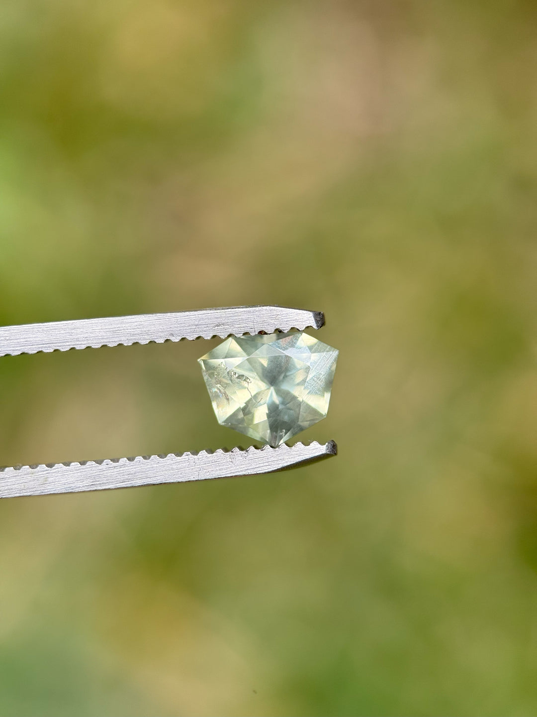 Close-up of a Malawi sapphire held in metal gem tweezers, against a softly blurred natural green backdrop, highlighting the sharp facets and shield shape.