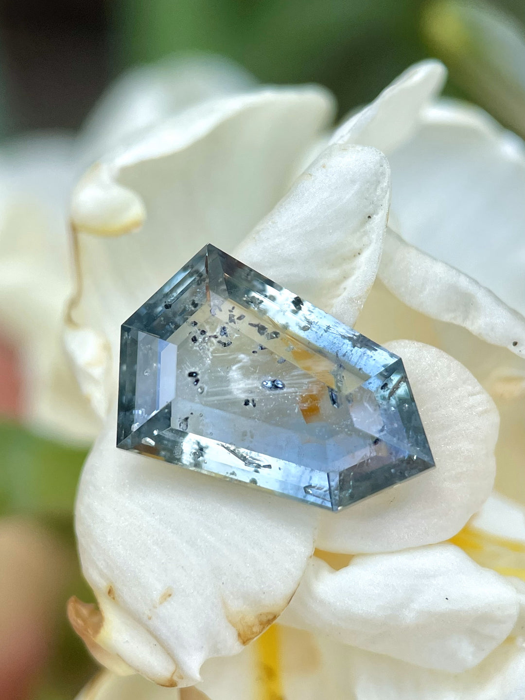 5.48ct sapphire resting on a white flower petal, highlighting its shield shape and natural blend of yellow, teal, and blue tones.