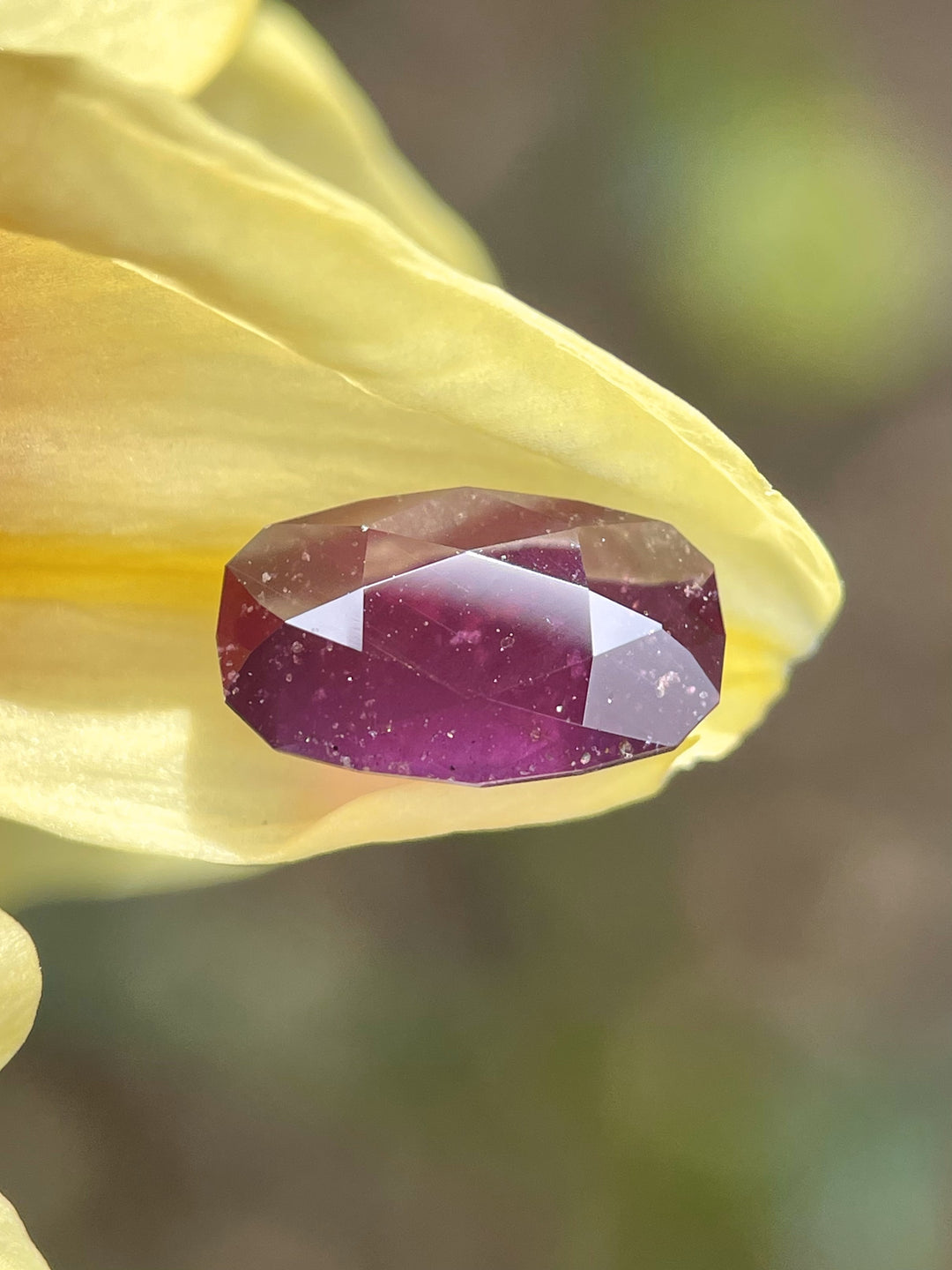 Raspberry plum sapphire resting on a yellow flower petal, showcasing its deep natural hues and intricate double rose cut.