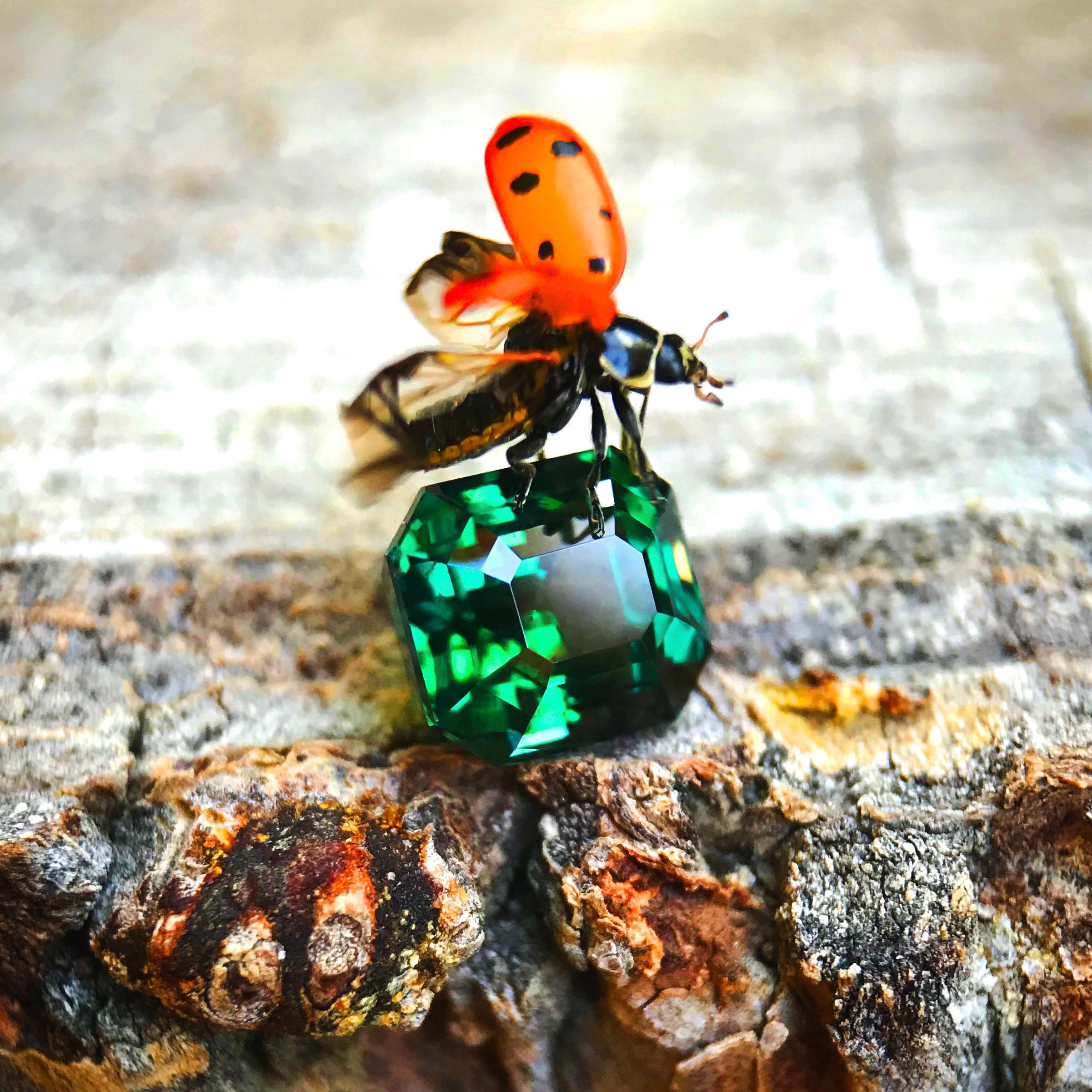 Ladybug perched on a vivid green loose gemstone on natural wood, showcasing bold color and one-of-a-kind gemstone character.