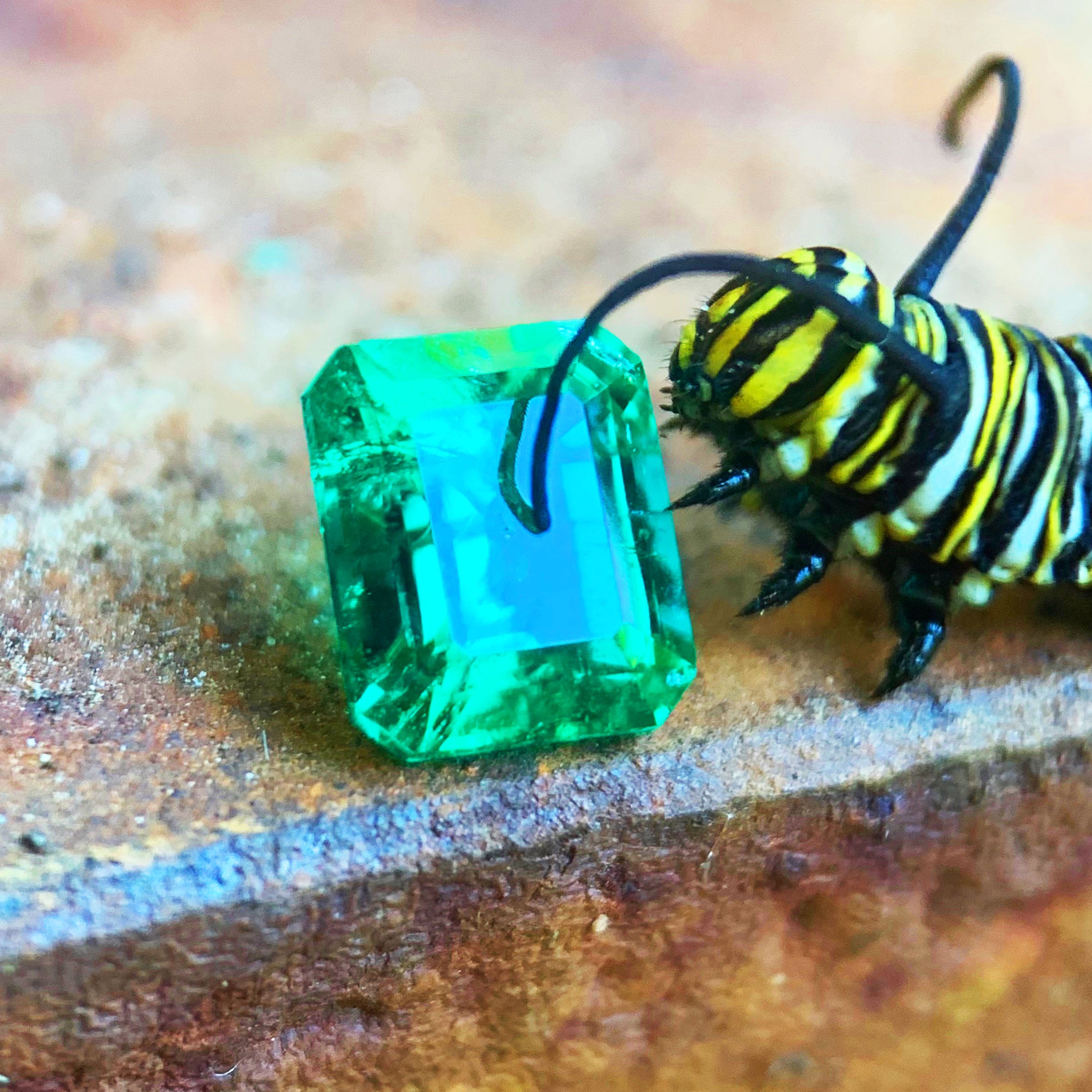 Bright green loose gemstone beside a striped caterpillar on natural wood, showcasing vivid color and one-of-a-kind gemstone character.