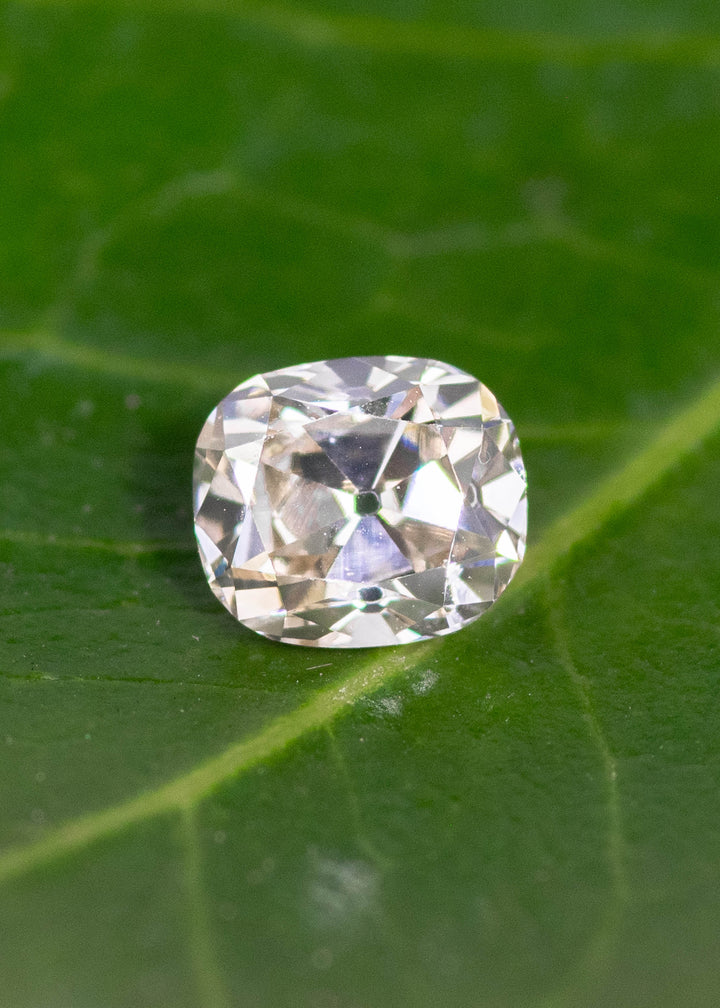 Loose old mine cut cushion diamond resting on green leaf highlighting antique cut and natural brilliance.