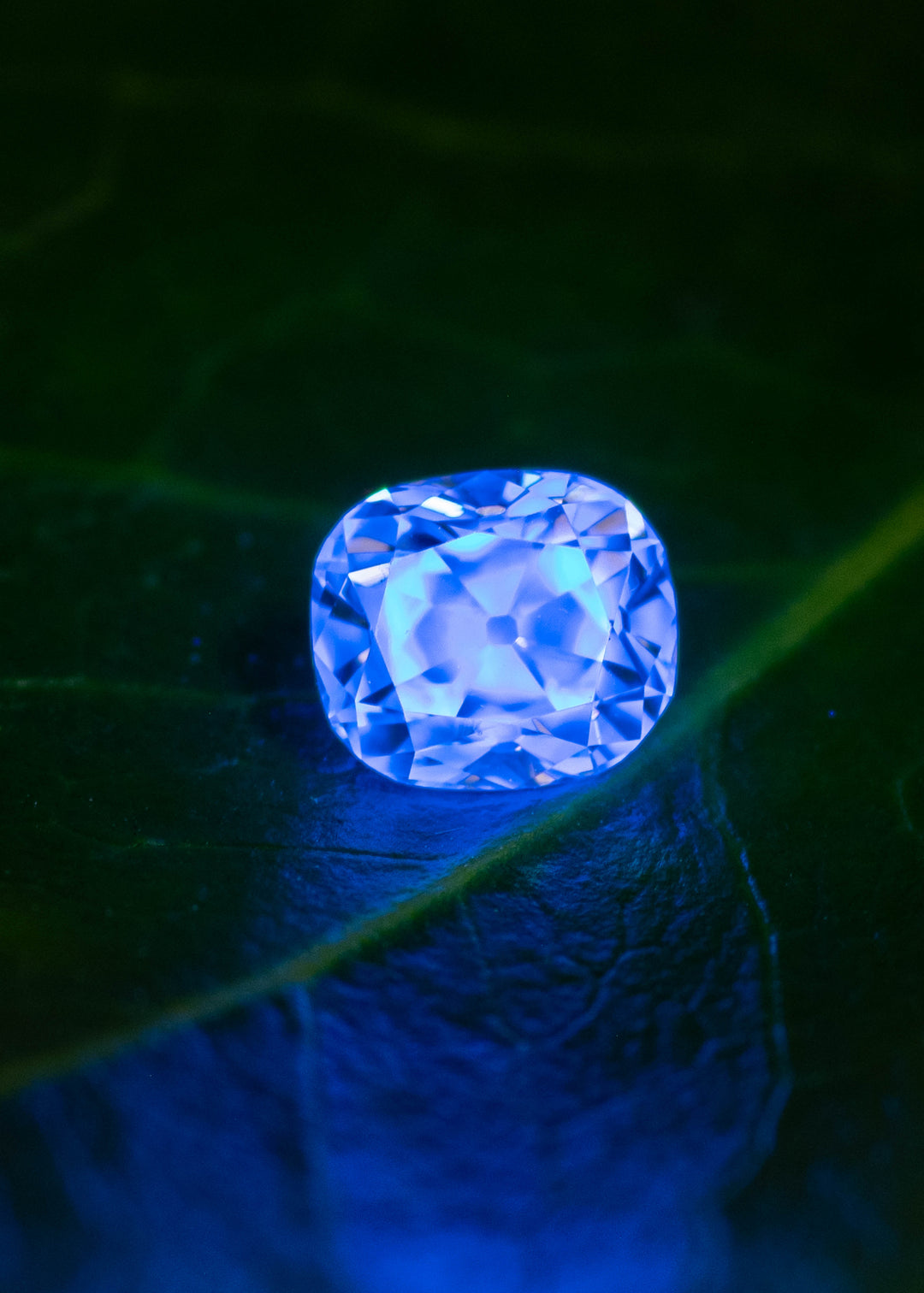 Old mine cut cushion diamond glowing blue under UV light showing fluorescence and internal facet structure.