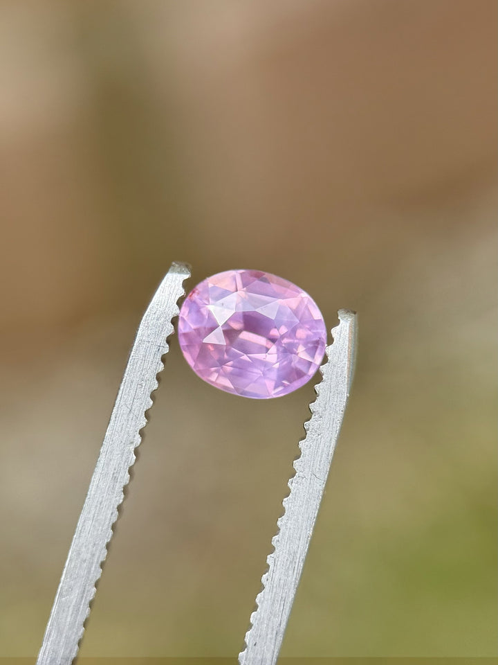 Close-up of 1.21CT pink sapphire in tweezers showing opalescent glow and oval faceting – ethically sourced from Sri Lanka