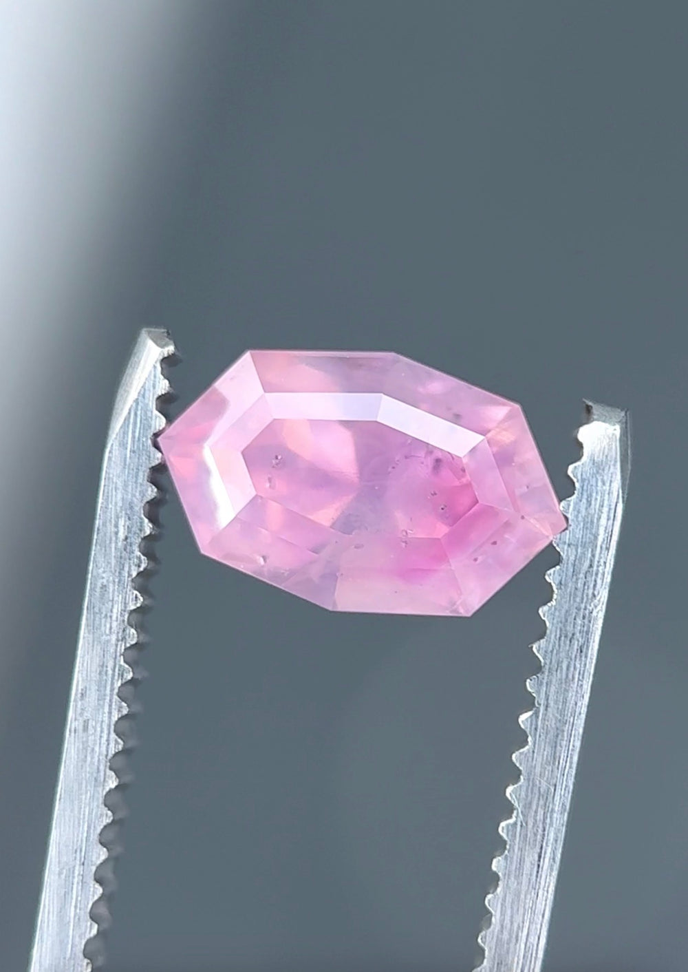 2.57 carat pink opalescent sapphire held in tweezers showing pastel peach and pink tones.