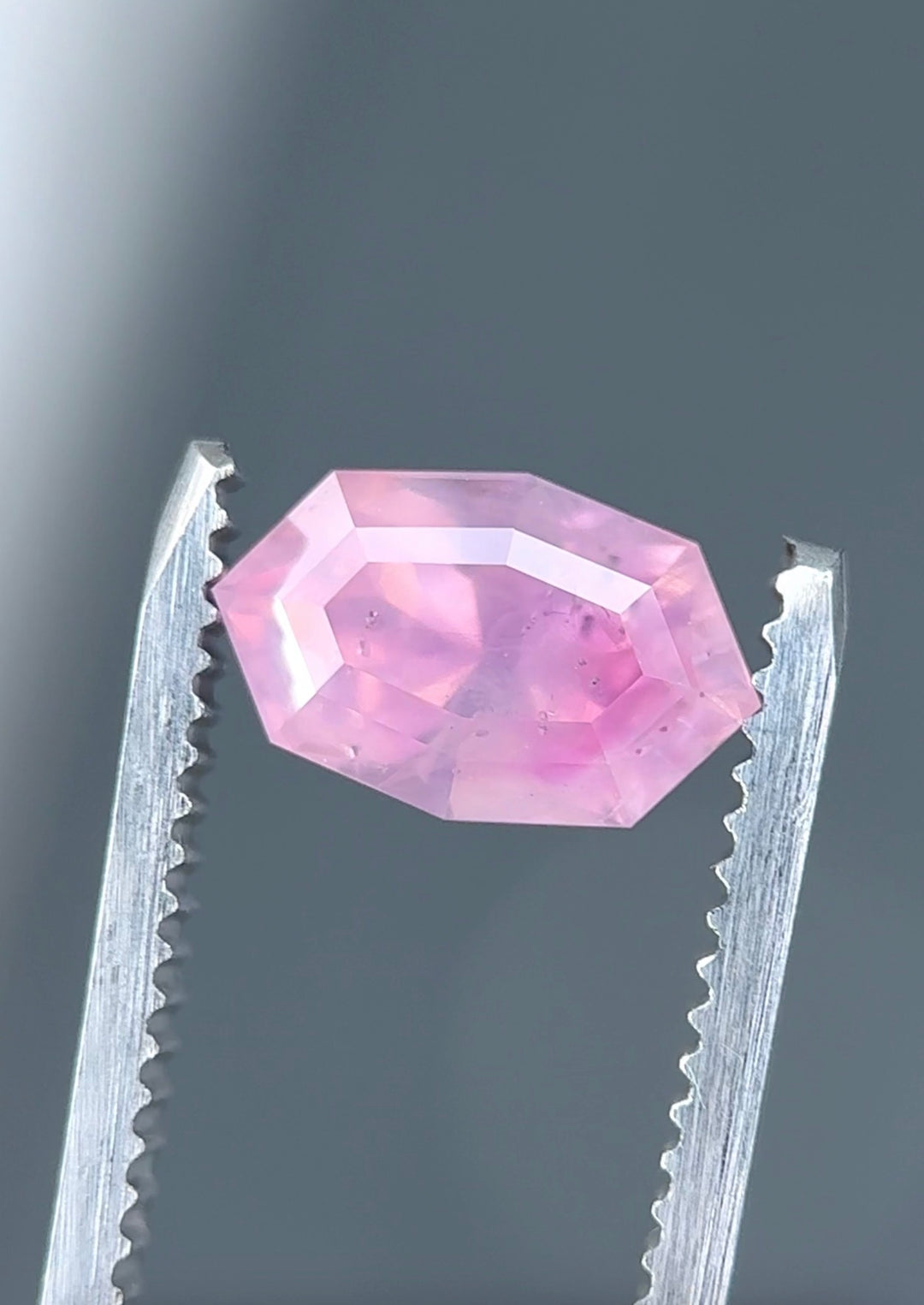2.57 carat pink opalescent sapphire held in tweezers showing pastel peach and pink tones.