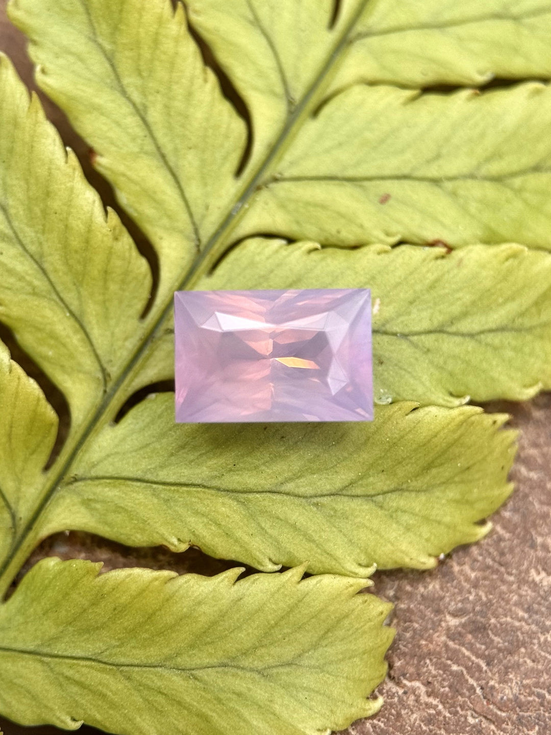 Blush pink opalescent sapphire resting on a green fern, highlighting its natural elegance and precise baguette cut.