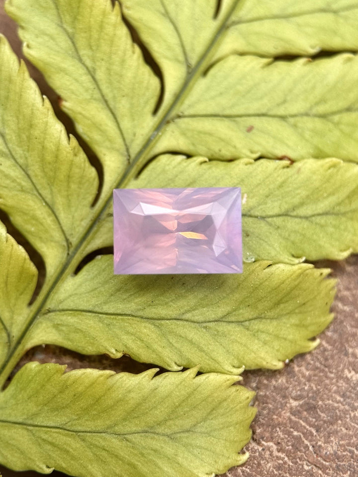 Blush pink opalescent sapphire resting on a green fern, highlighting its natural elegance and precise baguette cut.