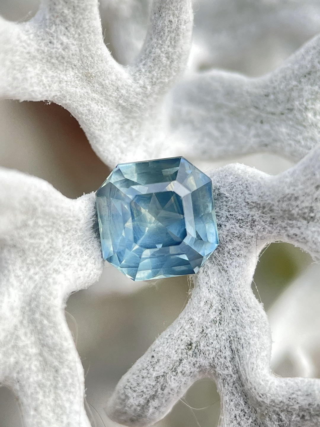 A stunning opalescent powder teal sapphire weighing 1.59 carats, held against a delicate white coral backdrop, showcasing its octagonal step cut brilliance.