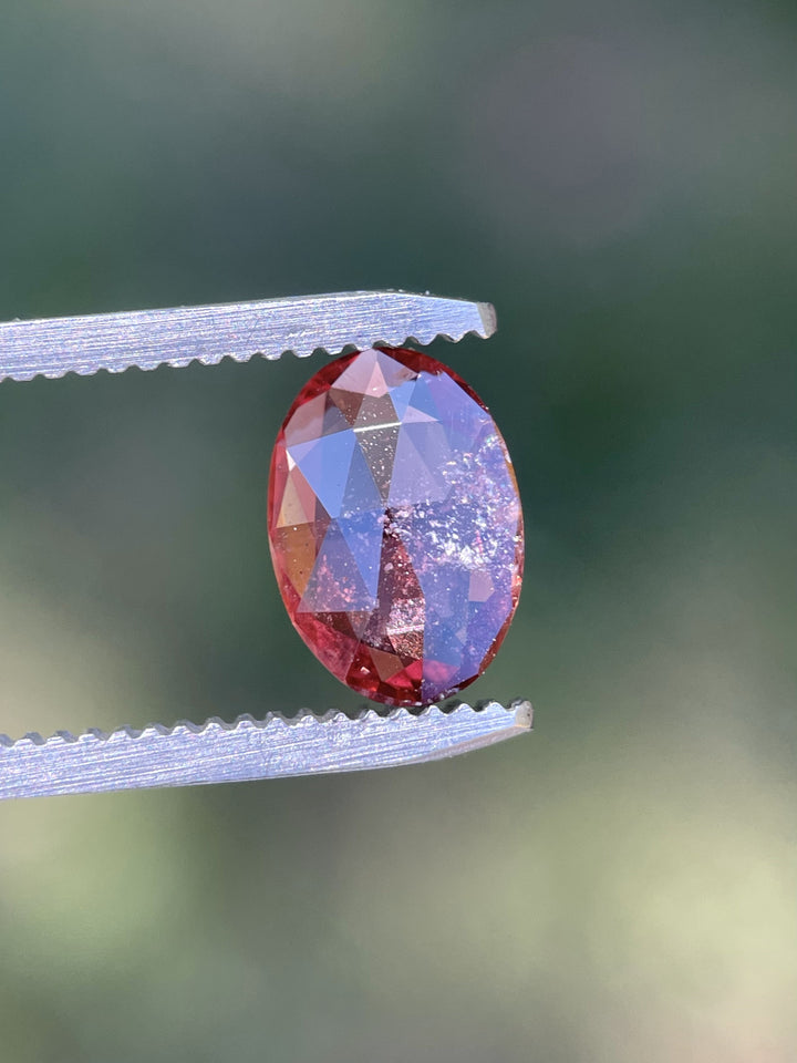 Oval cut 1.57-carat Umba River sapphire in tweezers showing orange-red hues and natural inclusions.