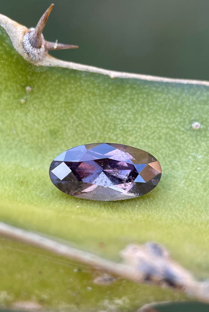 Close-up of a 1.63-carat sapphire in dusty rose, mauve, and purple hues resting on a green leaf. Moval cut, natural and untreated.