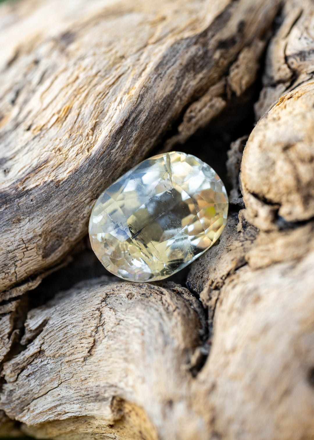Pale yellow oval tourmaline nestled among textured weathered wood, showing its soft champagne-yellow color, vintage faceting and visible natural inclusions.