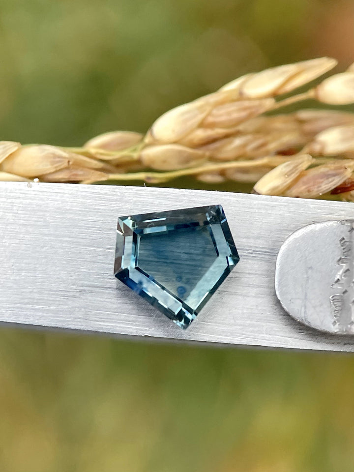A shield-shaped sapphire weighing 1.70 carats, featuring a step cut and parti-colors of blue, green, and yellow, displayed on tweezers against a backdrop of wheat stalks.