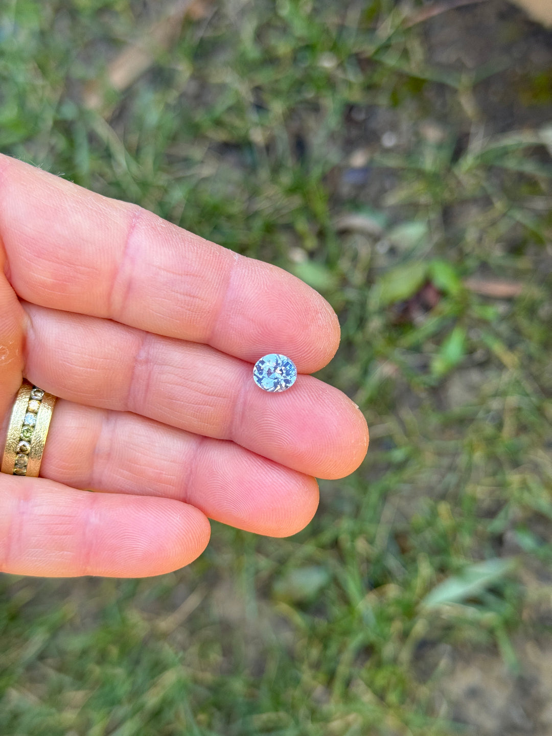 Unheated cornflower blue oval sapphire resting on fingertip, displaying round-oval proportions, even facet symmetry, and silky light diffusion across the surface.
