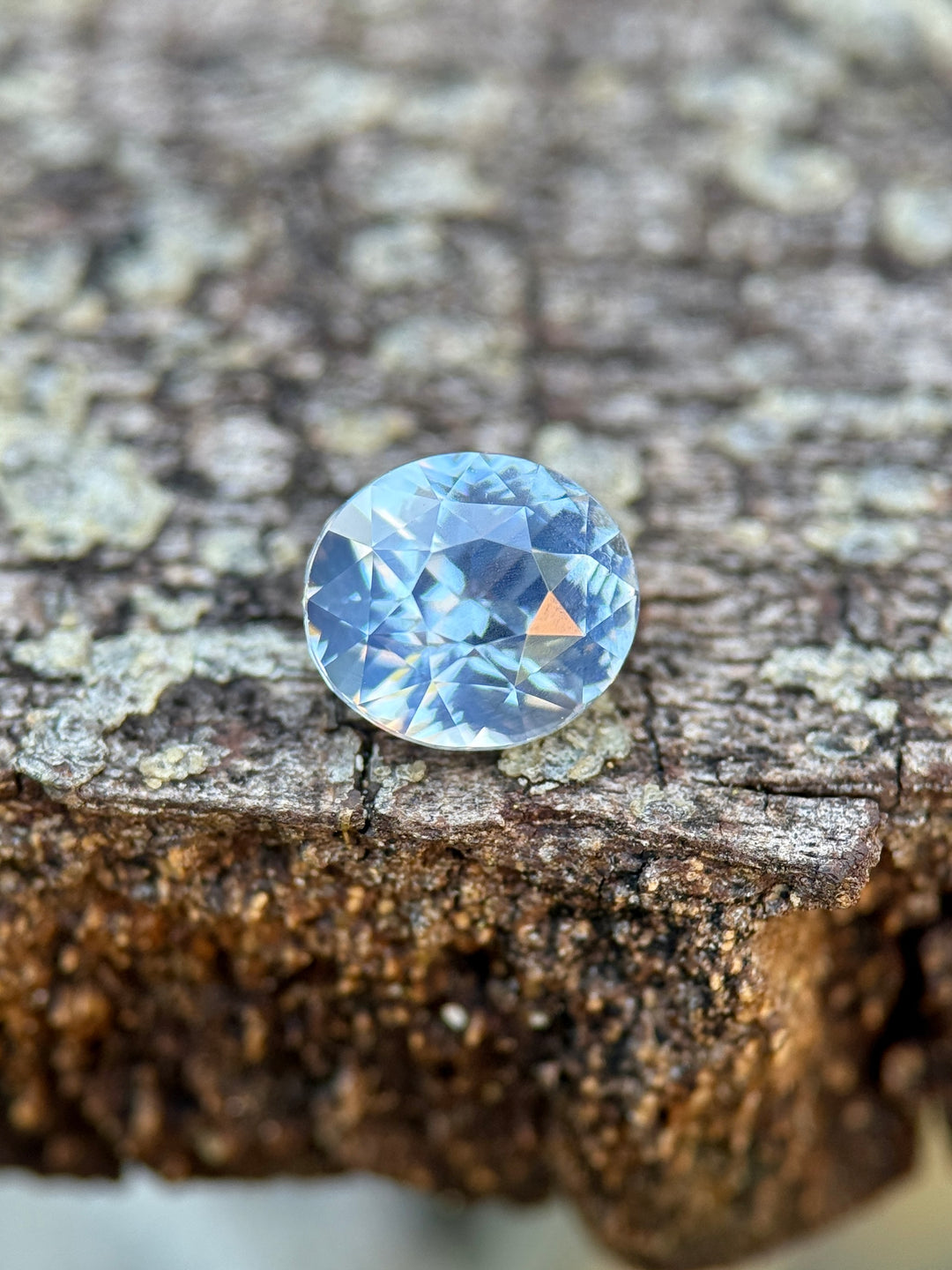 Precision-cut oval cornflower sapphire placed on textured tree bark, revealing its luminous sky-blue tone with subtle opalescent glow and bright reflective facet flashes.