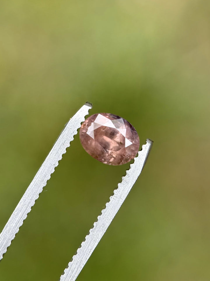 Close-up of fluorescent peach pink mauve sapphire held in tweezers, showing oval mixed cut brilliance