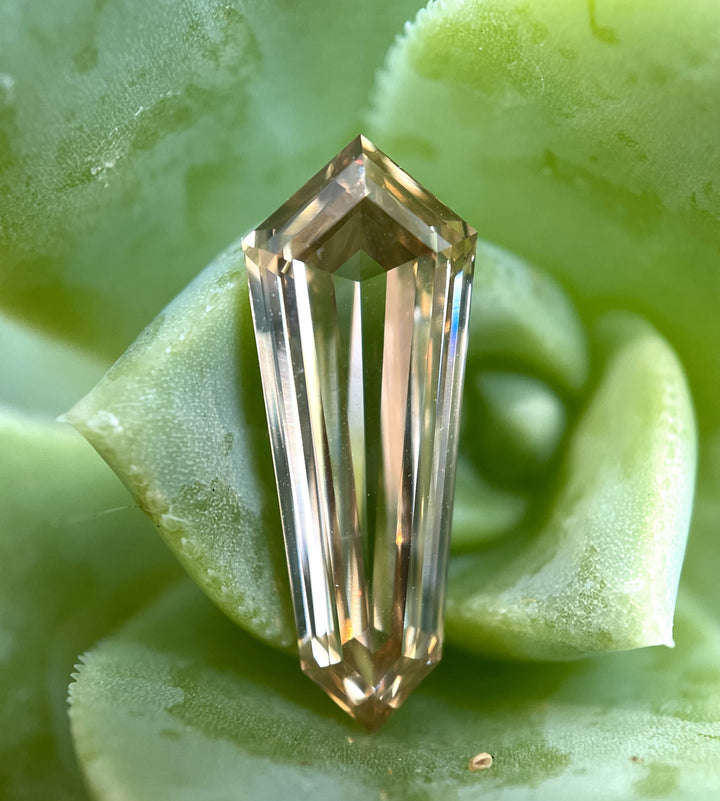 2.02-carat elongated shield cut diamond resting on a green succulent, highlighting its fancy brown champagne color and step-cut brilliance.