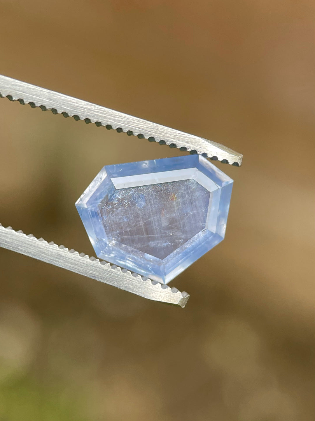 Close-up of a 3.29 carat sapphire held in tweezers, showcasing a portrait shield step cut with calming seafoam and teal blue tones.