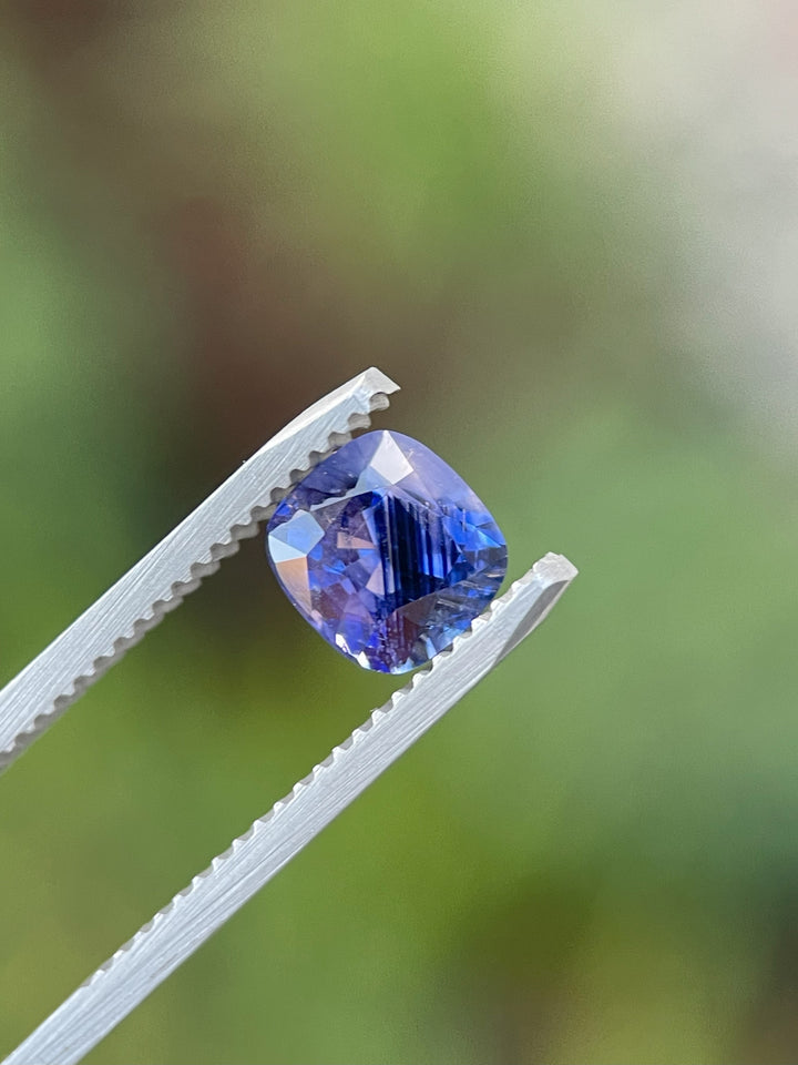 A close-up view of a 1.82-carat cushion cut sapphire with smokey lavender and violet hues, held by metal tweezers against a green backdrop.